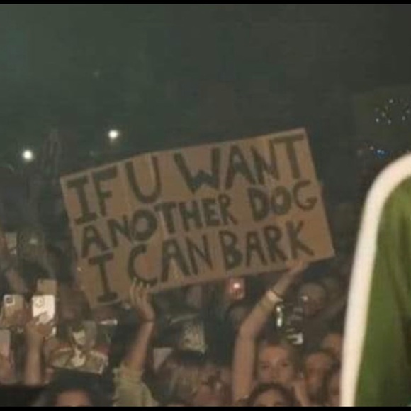 Meet your Posher, Jamie - Picture 1 of 1